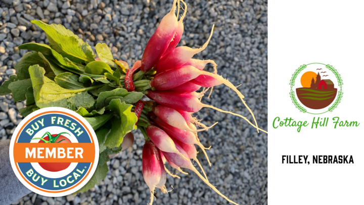 Cottage Hill Promo Photo